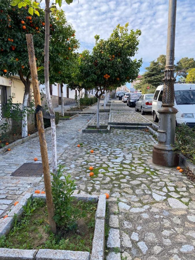 Sevilla. Gerena Casa Rural Para Familia O Profesionales מראה חיצוני תמונה