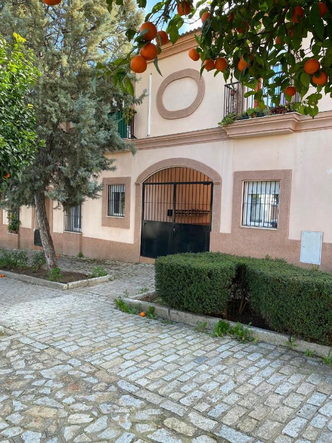 Sevilla. Gerena Casa Rural Para Familia O Profesionales מראה חיצוני תמונה